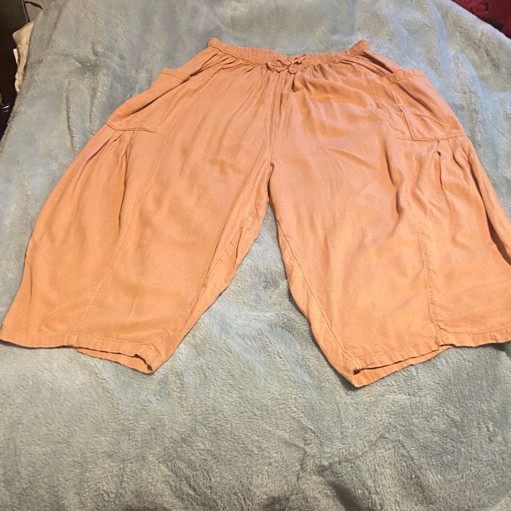 Free People Blush Linen Trousers